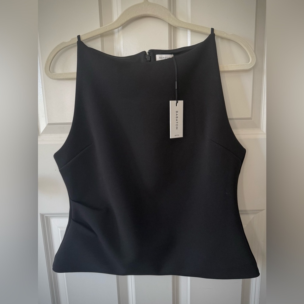 Aritzia Babaton Structured Top